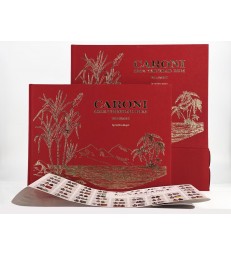 100% CARONI Stephen Meyer