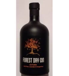 FOREST DRY GIN AUTUMN